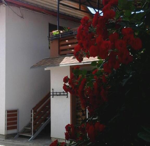 خانه 3 خوابه, коттедж Leleka Vyzhnynsia