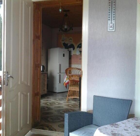 خانه 3 خوابه, коттедж Leleka Vyzhnynsia