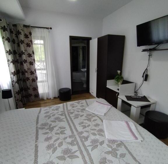 带阳台的豪华间, Pensiunea Steaua Nordului