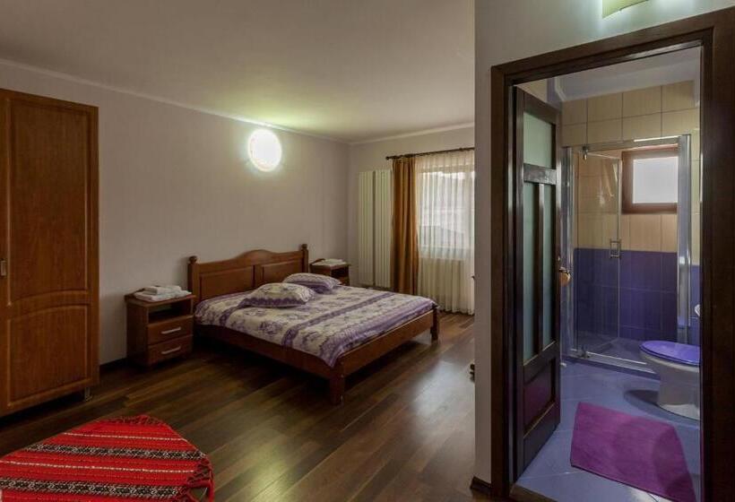 스탠다드 룸, Pensiunea Victoria