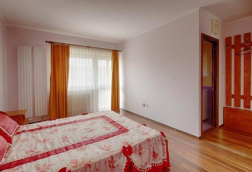 스탠다드 룸, Pensiunea Victoria