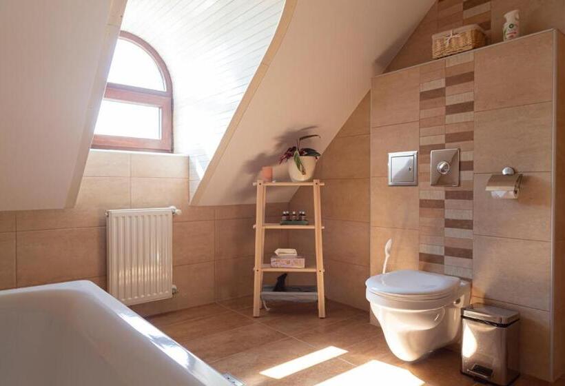 غرفة قياسية, Fiastyúk Udvarház