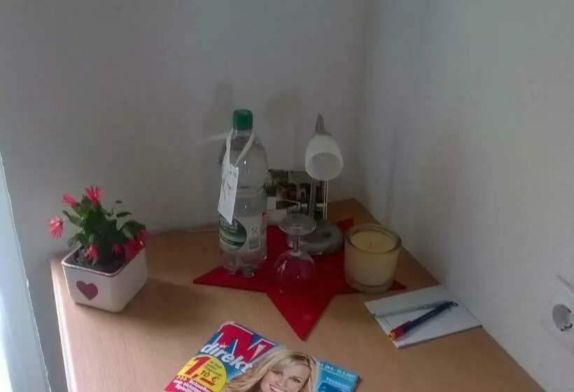 デラックスルーム, Pension Elisabeth Am Elberadweg