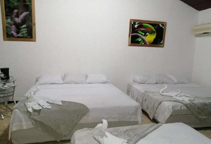 패밀리 룸, Casona Del Valle