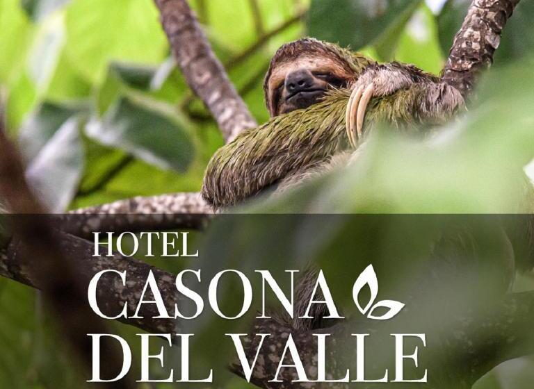 스탠다드 트리플 룸, Casona Del Valle