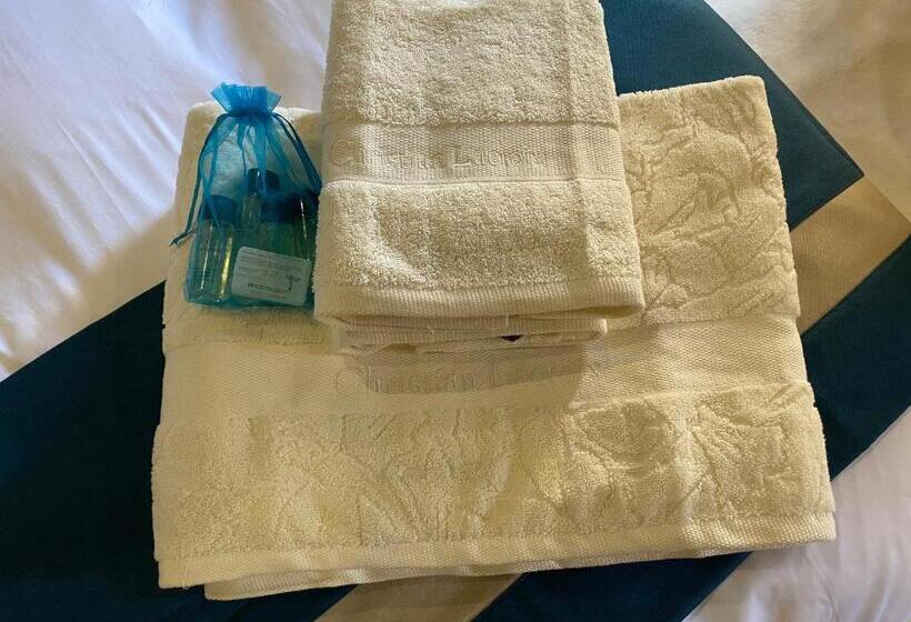 جناح مزود بجاكوزى, Le Charme De St Pierre