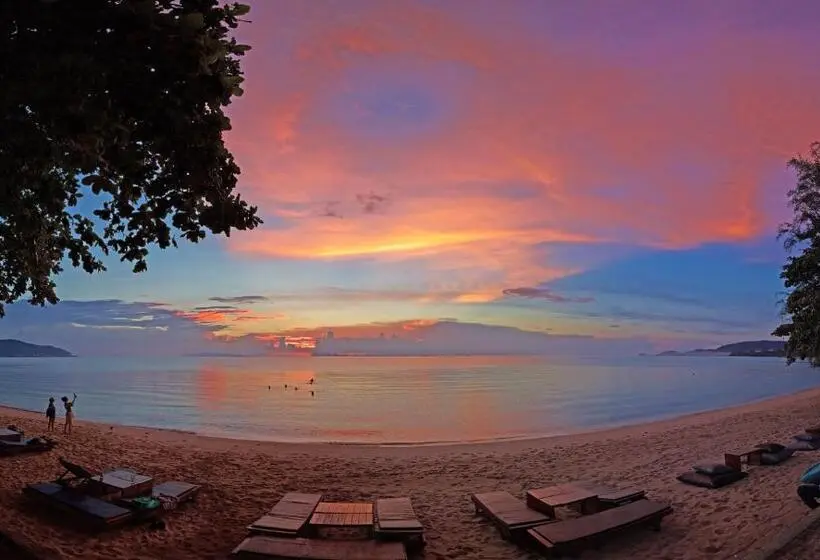 ツーベッドルーム　ヴィラ, Satva Samui Yoga And Wellness Resort