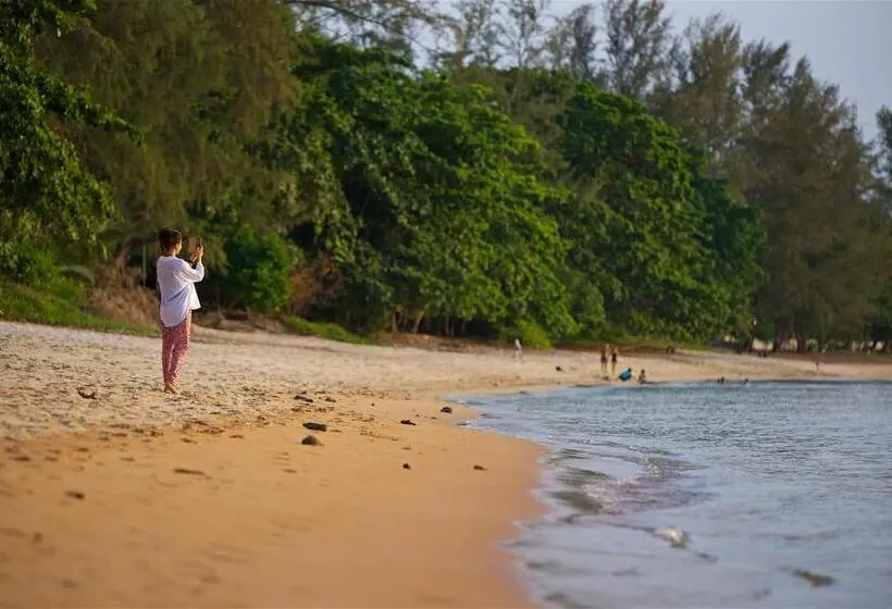 オーシャンビュースタンダードルーム, Satva Samui Yoga And Wellness Resort
