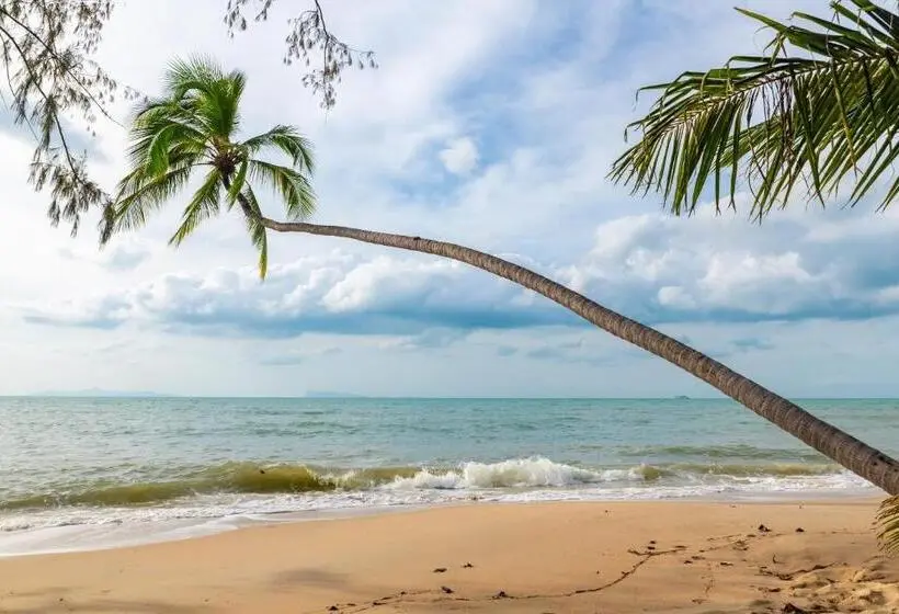 オーシャンビュースタンダードルーム, Satva Samui Yoga And Wellness Resort