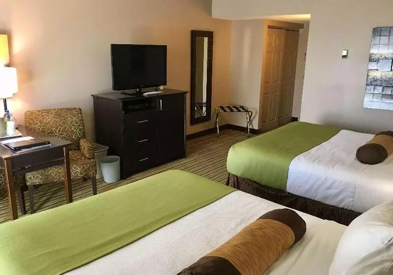 Standard-huone, Bed Nbudget Expo Hostel Rooms