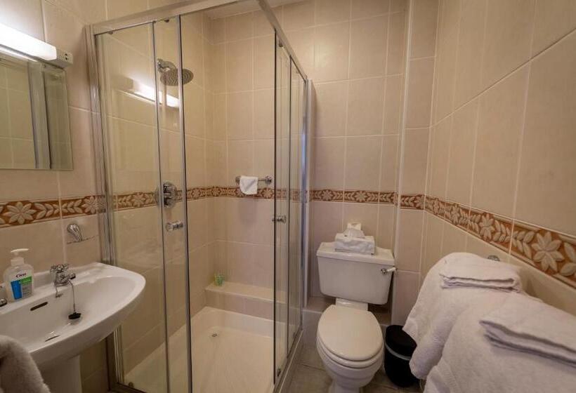 シングルデラックスルーム, Bunratty Meadows Bed & Breakfast