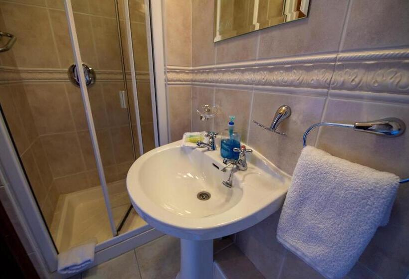 シングルデラックスルーム, Bunratty Meadows Bed & Breakfast