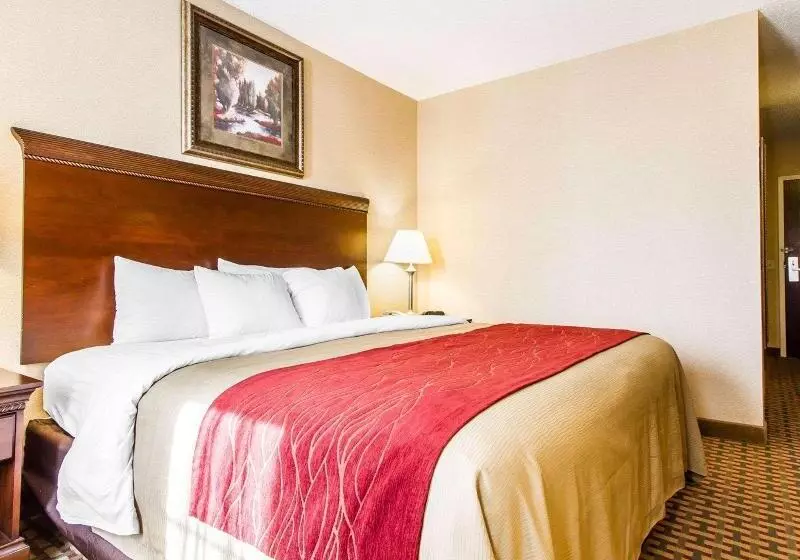 اتاق استاندارد با تخت بزرگ, Comfort Inn & Suites Scarborough Portland