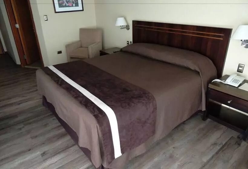اتاق استاندارد با چشمانداز دریا, Diego De Almagro Valparaiso