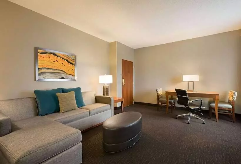 デラックススイート, Embassy Suites By Hilton Nashville South Cool Springs