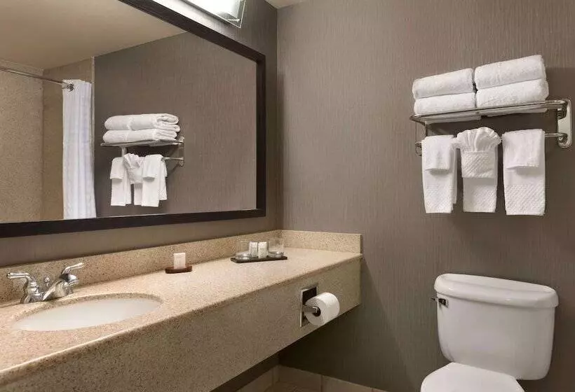 ２ベッドスイートルーム, Embassy Suites By Hilton Nashville South Cool Springs