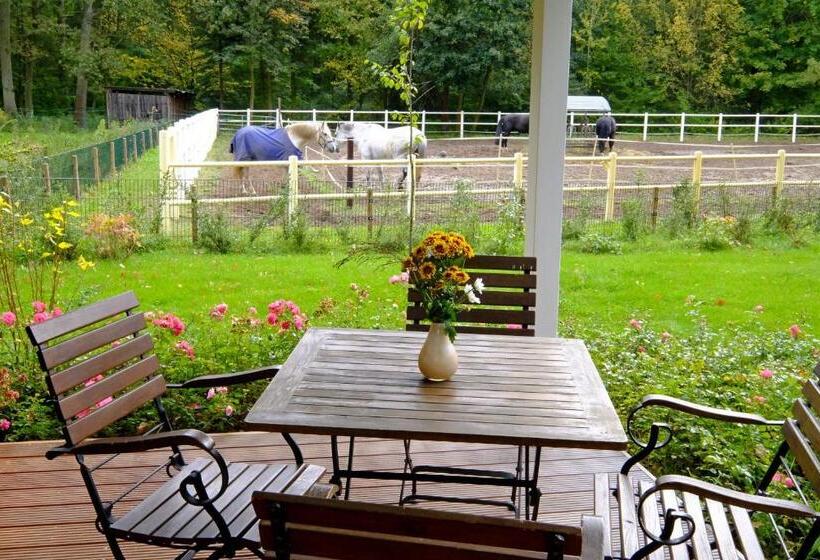 ２ベッドルームハウス, Gut Klostermuhle Natur Resort & Medical Spa