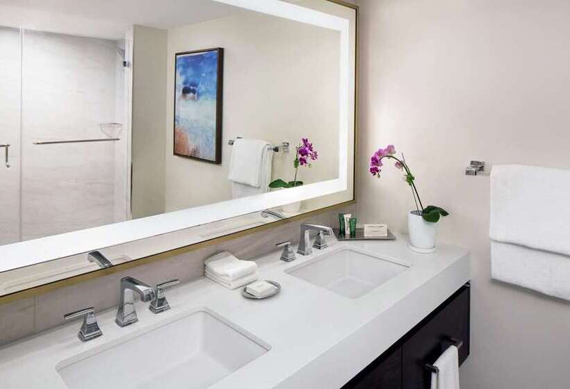 带大床的标准间, Hilton Baltimore Bwi Airport