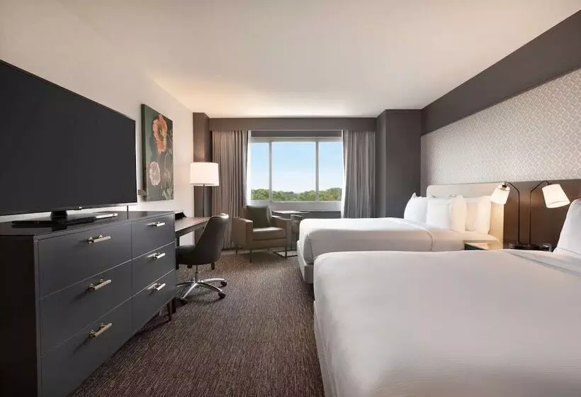 エクゼクティブルーム, Hilton Baltimore Bwi Airport