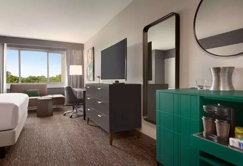 身障者適用スタンダードルーム, Hilton Baltimore Bwi Airport