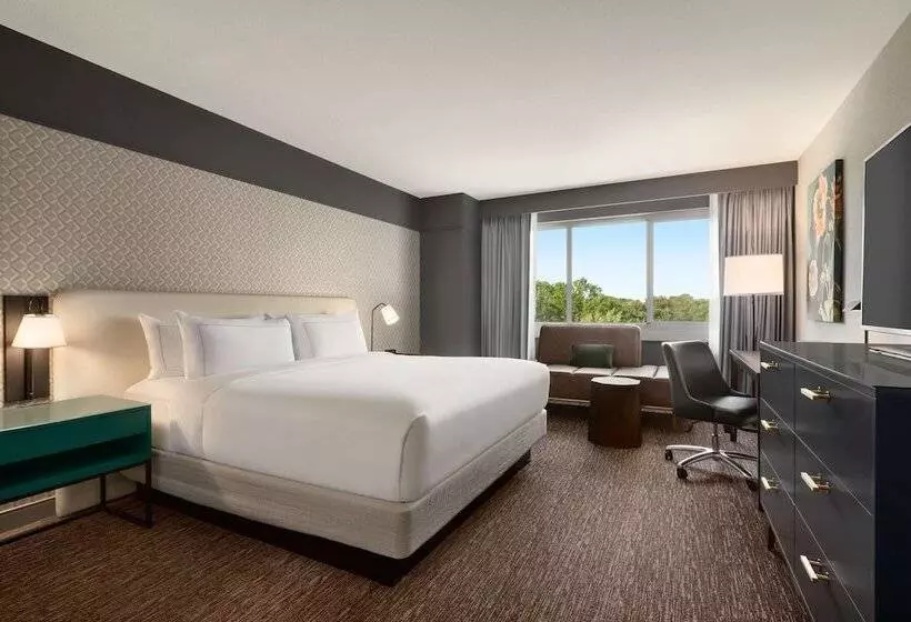 身障者適用スタンダードルーム, Hilton Baltimore Bwi Airport