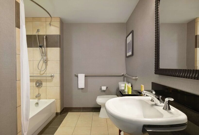 适合残疾人使用的标准间, Hilton Baltimore Bwi Airport