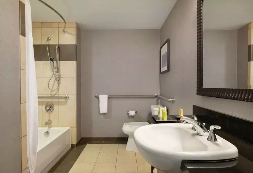 身障者適用スタンダードルーム, Hilton Baltimore Bwi Airport
