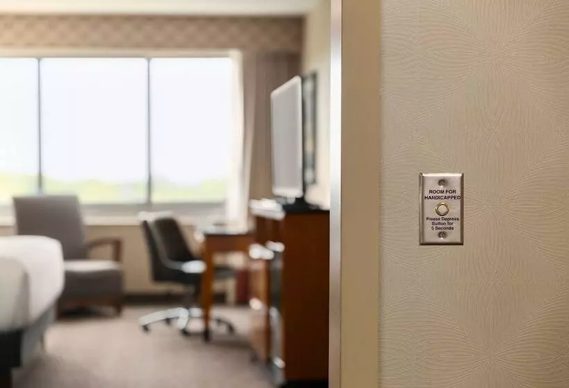 身障者適用スタンダードルーム, Hilton Baltimore Bwi Airport