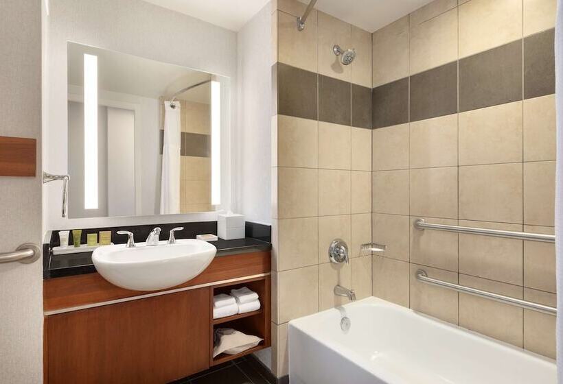 适合残疾人使用的标准间, Hilton Baltimore Bwi Airport