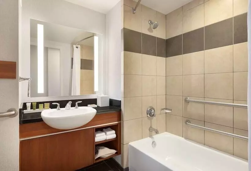 身障者適用スタンダードルーム, Hilton Baltimore Bwi Airport