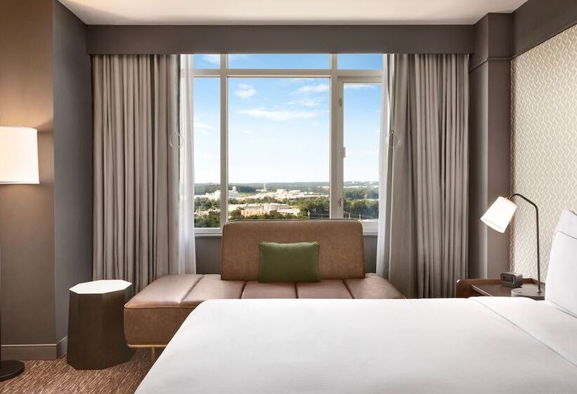 适合残疾人使用的标准间, Hilton Baltimore Bwi Airport