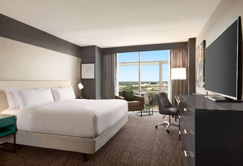 适合残疾人使用的标准间, Hilton Baltimore Bwi Airport