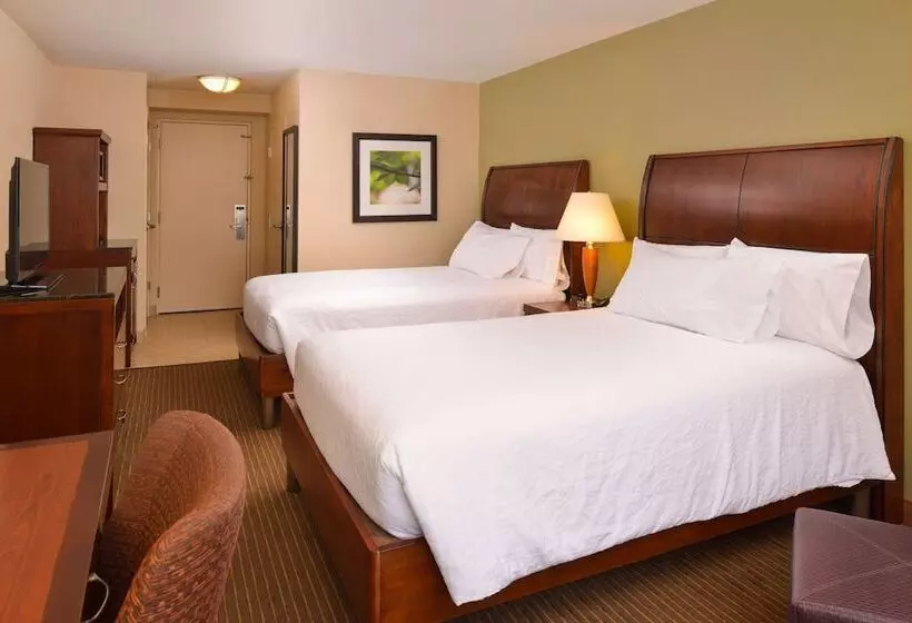 スタンダードルーム, Hilton Garden Inn Baltimore/white Marsh
