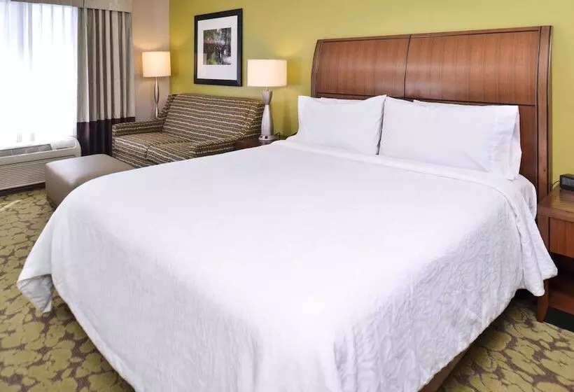 ダブルベッドスタンダードルーム, Hilton Garden Inn Indianapolis/carmel