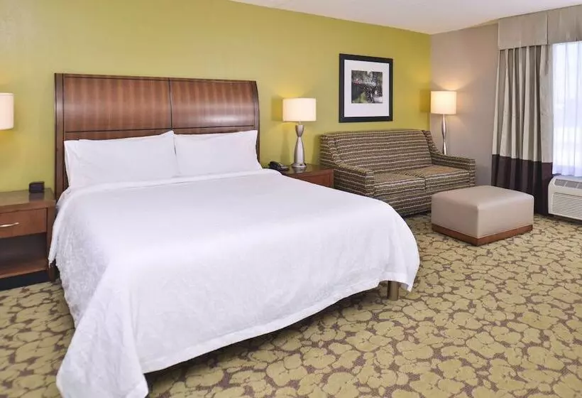 ダブルベッドスタンダードルーム, Hilton Garden Inn Indianapolis/carmel