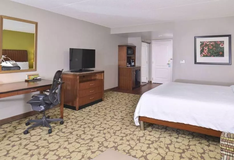 ダブルベッドスタンダードルーム, Hilton Garden Inn Indianapolis/carmel