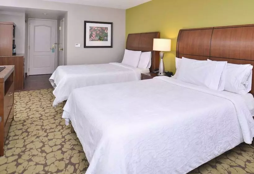 ２ダブルベッドのスタンダードルーム, Hilton Garden Inn Indianapolis/carmel