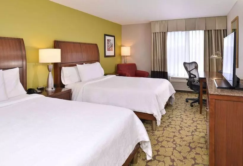 ２ダブルベッドのスタンダードルーム, Hilton Garden Inn Indianapolis/carmel