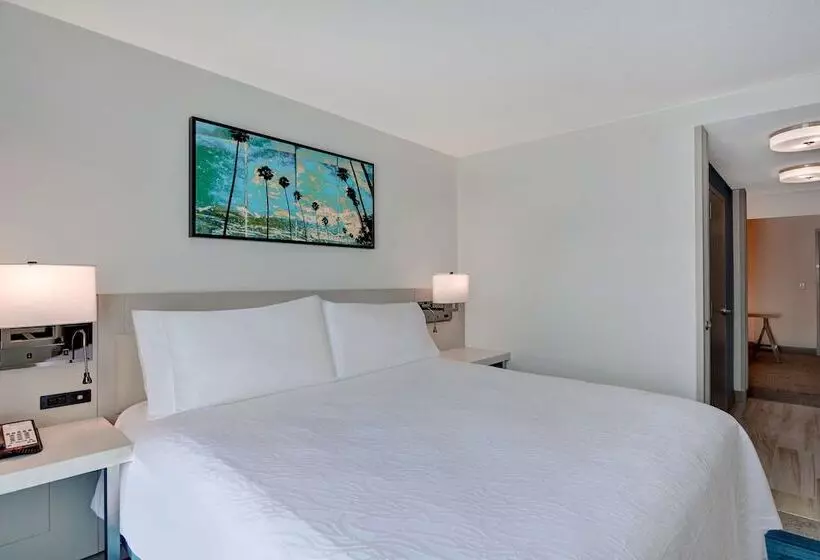 ジュニアスイート, Hilton Garden Inn Jacksonville Orange Park
