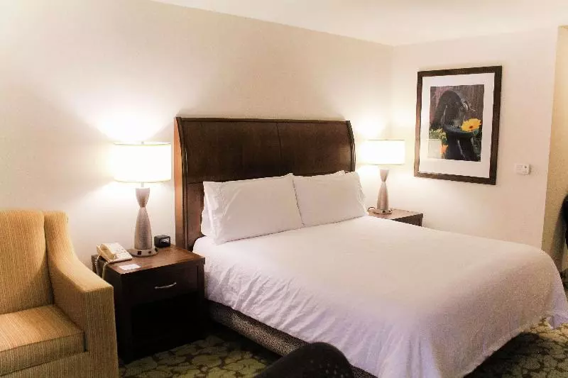 キングサイズベッドのスタンダードルーム, Hilton Garden Inn Redding