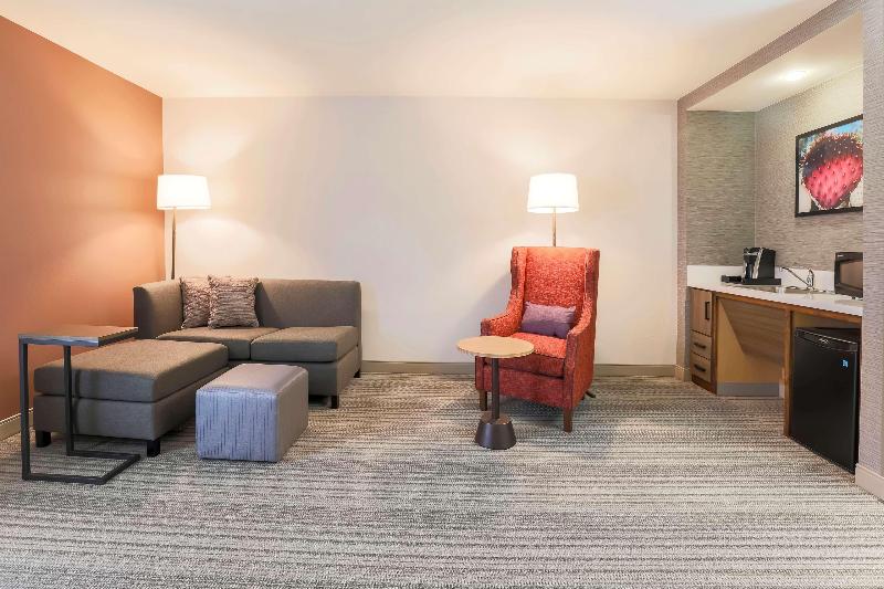 חדר סטנדרט עם מיטת קינג, Hilton Garden Inn Reno