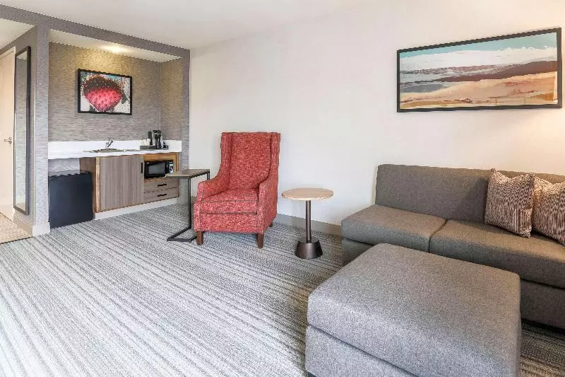 Sviitti King-vuode, Hilton Garden Inn Reno