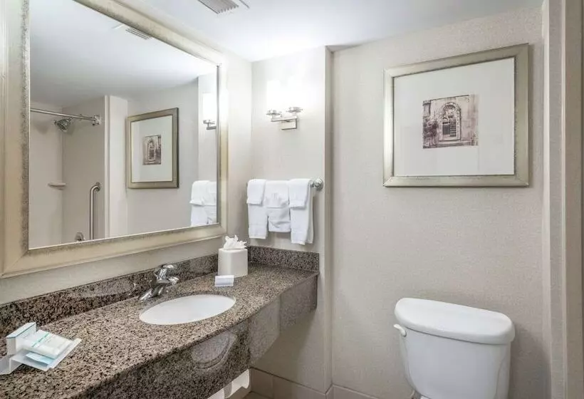اتاق استاندارد با 2 تخت دوبل, Hilton Garden Inn Richmond Airport