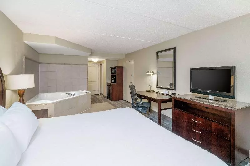 اتاق استاندارد با تخت بزرگ, Hilton Garden Inn Richmond Airport
