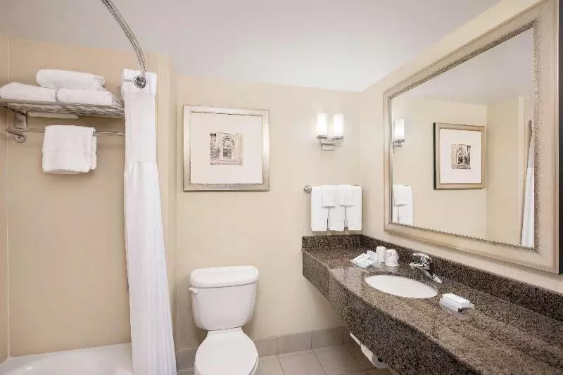 اتاق استاندارد با تخت بزرگ, Hilton Garden Inn Richmond Airport