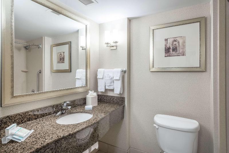 带大床的套房, Hilton Garden Inn Richmond Airport