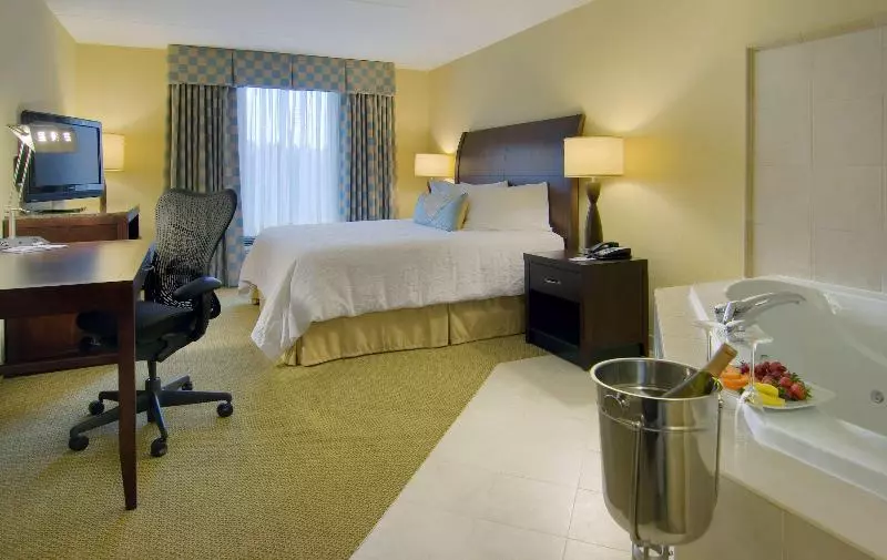 اتاق استاندارد با تخت بزرگ, Hilton Garden Inn Richmond Airport