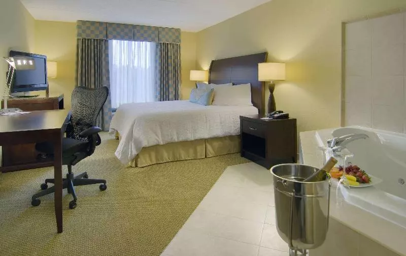 اتاق استاندارد با تخت بزرگ, Hilton Garden Inn Richmond Airport