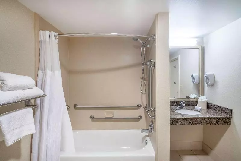اتاق استاندارد با تخت بزرگ, Hilton Garden Inn Richmond Airport