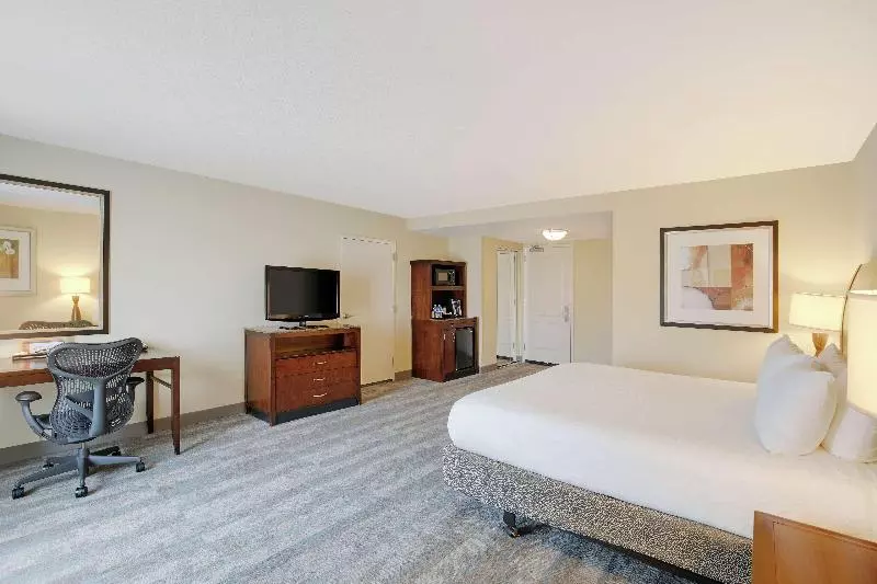 اتاق استاندارد با تخت بزرگ, Hilton Garden Inn Richmond Airport